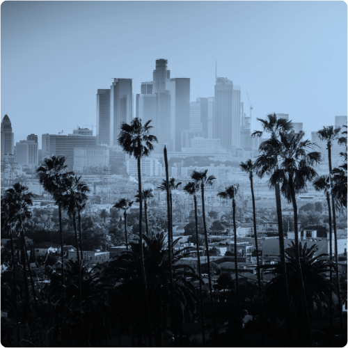 LAX-1